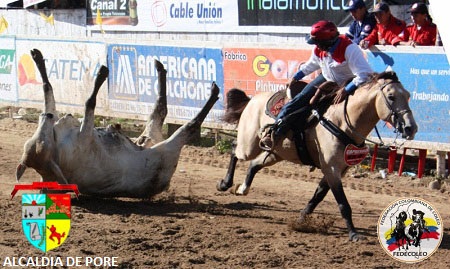 coleo en pore