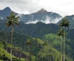 QUINDIO-SALENTO