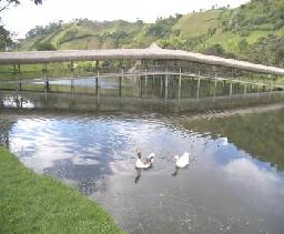 RISARALDA-GUATICA